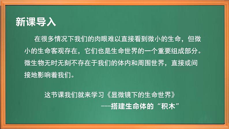 苏教版小学科学五年级下册《1.搭建生命体的“积木”》课件+教案+视频+作业（全套）01