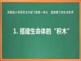 苏教版小学科学五年级下册《1.搭建生命体的“积木”》课件+教案+视频+作业（全套）