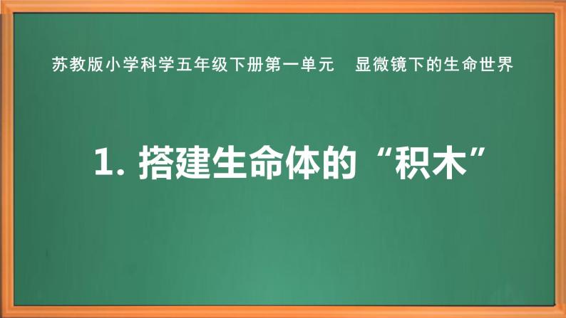 苏教版小学科学五年级下册《1.搭建生命体的“积木”》课件+教案+视频+作业（全套）02