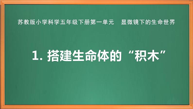 苏教版小学科学五年级下册《1.搭建生命体的“积木”》课件+教案+视频+作业（全套）02