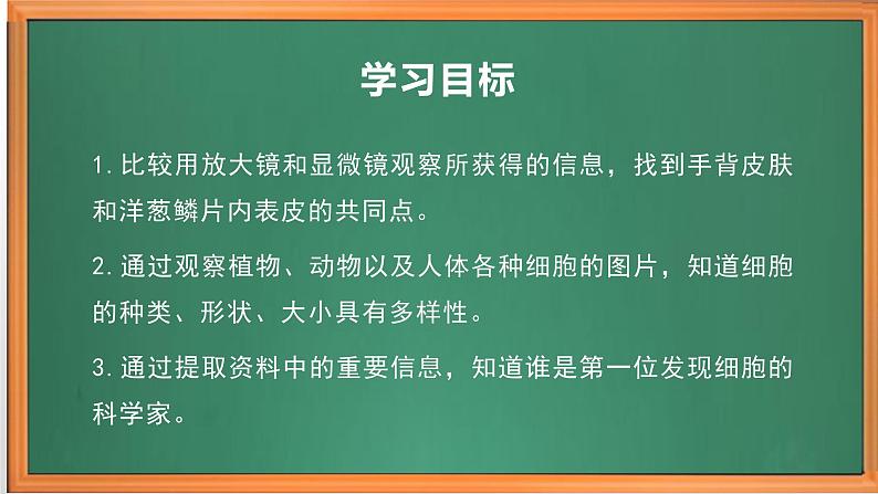 苏教版小学科学五年级下册《1.搭建生命体的“积木”》课件+教案+视频+作业（全套）03