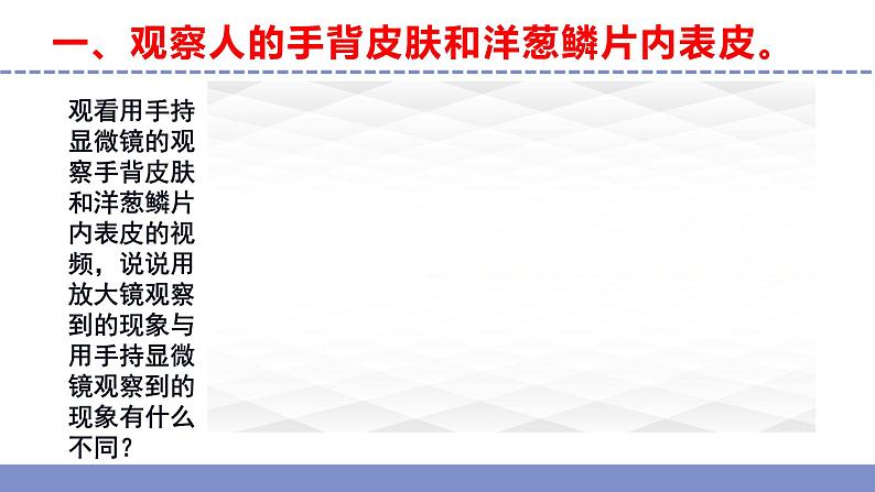 苏教版小学科学五年级下册《1.搭建生命体的“积木”》课件+教案+视频+作业（全套）06