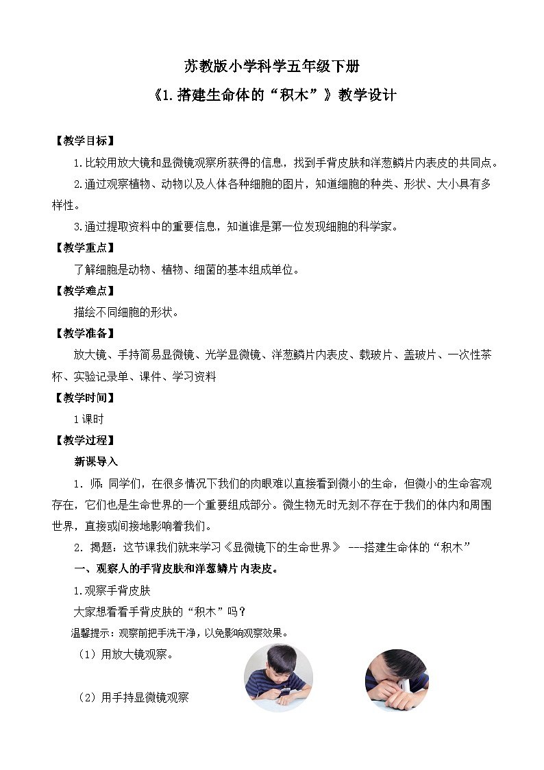 苏教版小学科学五年级下册《1.搭建生命体的“积木”》课件+教案+视频+作业（全套）01