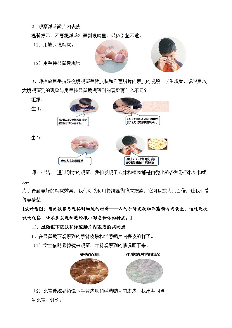 苏教版小学科学五年级下册《1.搭建生命体的“积木”》课件+教案+视频+作业（全套）02