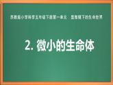 苏教版小学科学五年级下册《2.微小的生命体》课件+教案+视频+作业（全套）