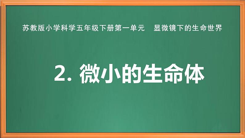 苏教版小学科学五年级下册第一单元《2 微小的生命体》课件+作业设计+视频第2页