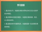 苏教版小学科学五年级下册《2.微小的生命体》课件+教案+视频+作业（全套）