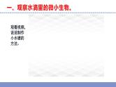 苏教版小学科学五年级下册《2.微小的生命体》课件+教案+视频+作业（全套）