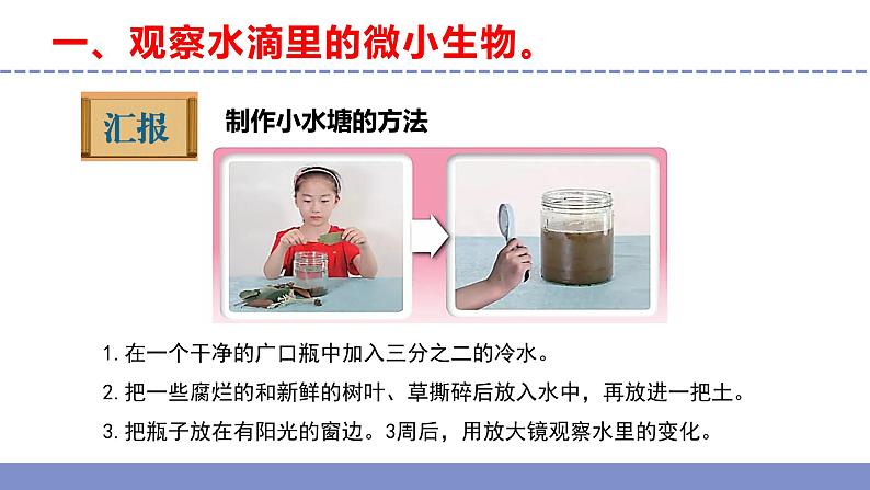 苏教版小学科学五年级下册第一单元《2 微小的生命体》课件+作业设计+视频第6页