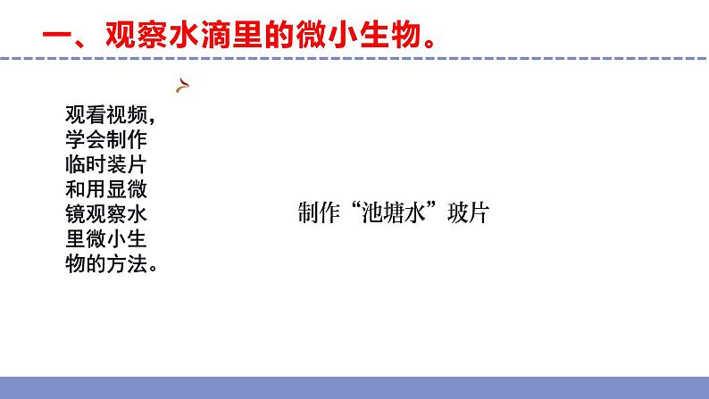 苏教版小学科学五年级下册第一单元《2 微小的生命体》课件+作业设计+视频第8页