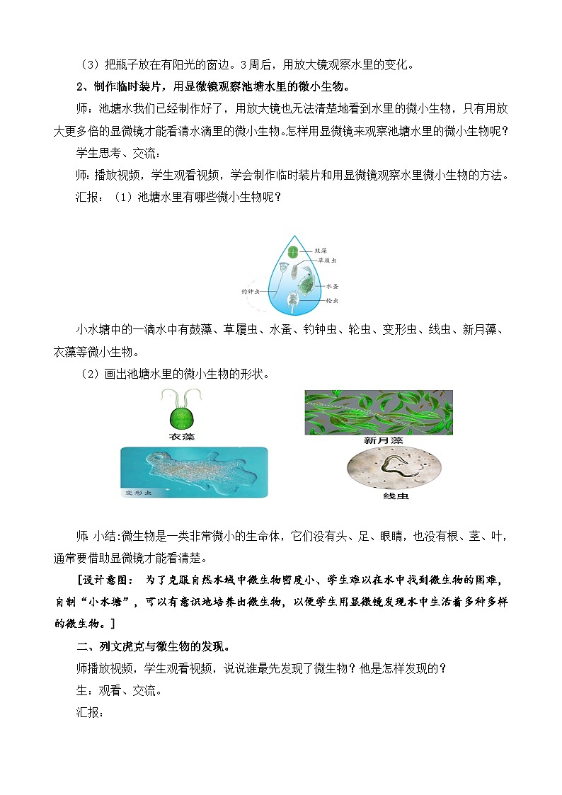 苏教版小学科学五年级下册《2.微小的生命体》教案第2页