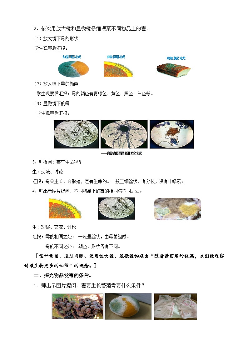 苏教版小学科学五年级下册《3.发霉与防霉》课件+教案+视频+作业（全套）02