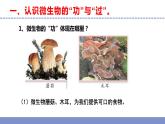 苏教版小学科学五年级下册《4.微生物的“功”与“过”》课件+教案+视频+作业（全套）