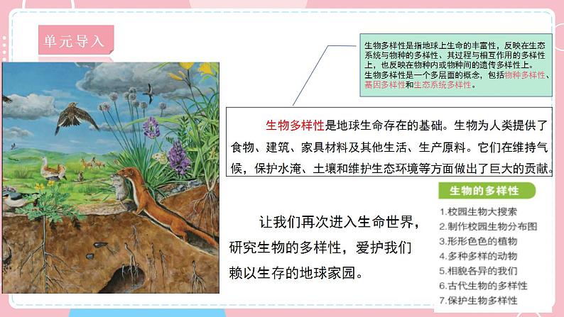 【教科版】六下科学  2.1 校园生物大搜索（课件+视频素材）03