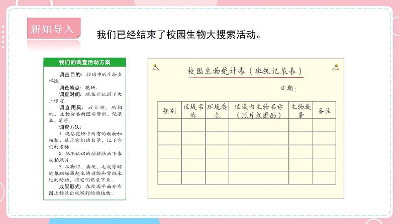 【教科版】六下科学  2.2 制作校园生物分布图（课件+视频素材）02