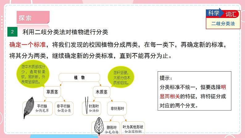 【教科版】六下科学  2.2 制作校园生物分布图（课件+视频素材）07