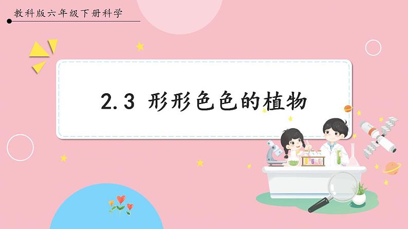 【教科版】六下科学  2.3 形形色色的植物（课件+视频素材）01