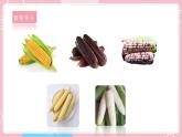 【教科版】六下科学  2.3 形形色色的植物（课件+视频素材）