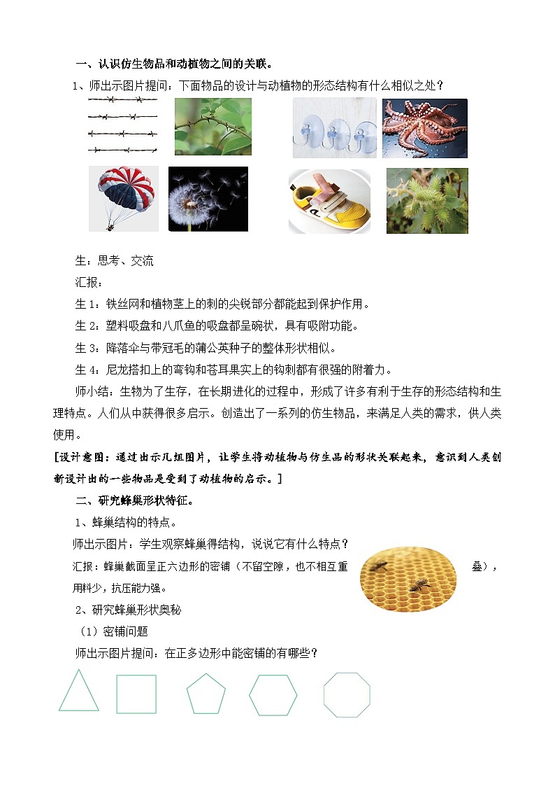 苏教版小学科学五年级下册《5.生物的启示》课件+教案+视频+作业（全套）02