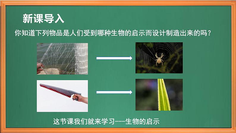 苏教版小学科学五年级下册《5.生物的启示》课件+教案+视频+作业（全套）01