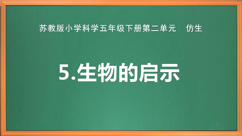 苏教版小学科学五年级下册《5.生物的启示》课件+教案+视频+作业（全套）02