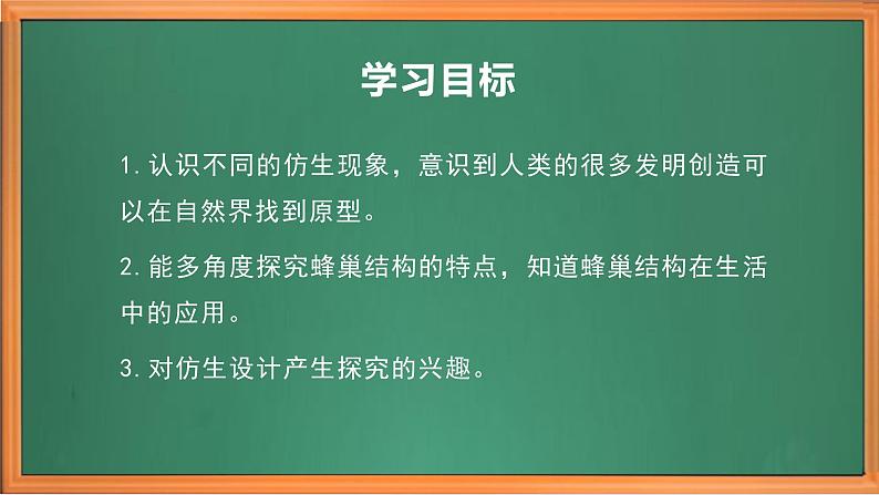 苏教版小学科学五年级下册《5.生物的启示》课件+教案+视频+作业（全套）03