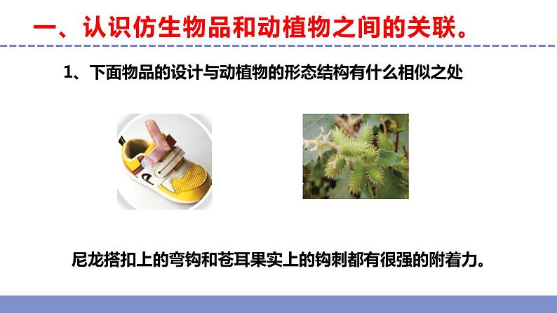 苏教版小学科学五年级下册《5.生物的启示》课件+教案+视频+作业（全套）07