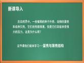 苏教版小学科学五年级下册《6.蛋壳与薄壳结构》课件+教案+视频+作业（全套）
