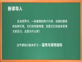 苏教版小学科学五年级下册《6.蛋壳与薄壳结构》课件+教案+视频+作业（全套）