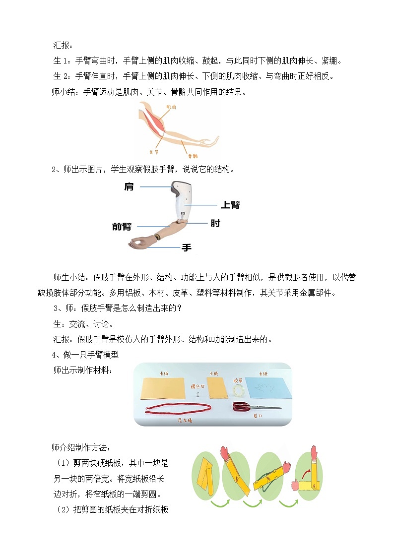 苏教版小学科学五年级下册《8.我们来仿生》课件+教案+视频+作业（全套）02
