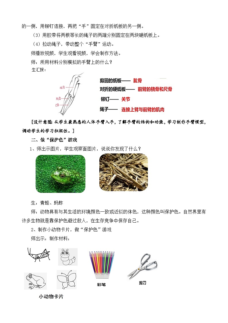 苏教版小学科学五年级下册《8.我们来仿生》课件+教案+视频+作业（全套）03