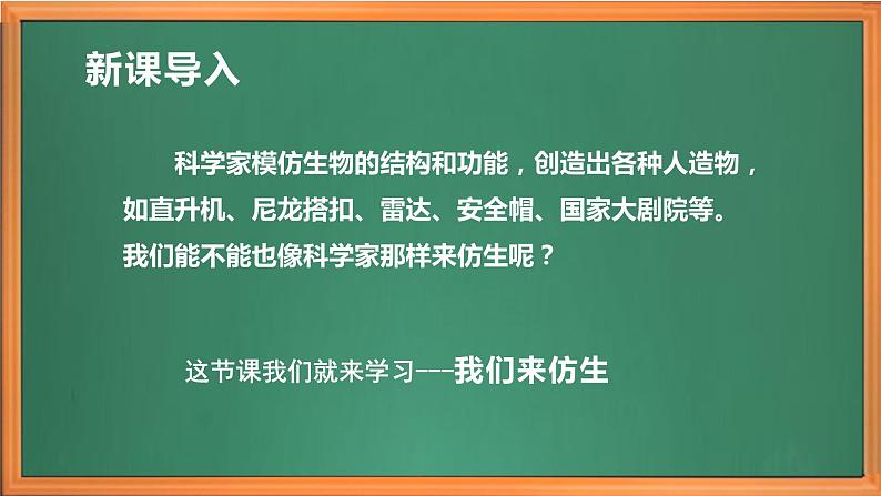 苏教版小学科学五年级下册《8.我们来仿生》课件+教案+视频+作业（全套）01