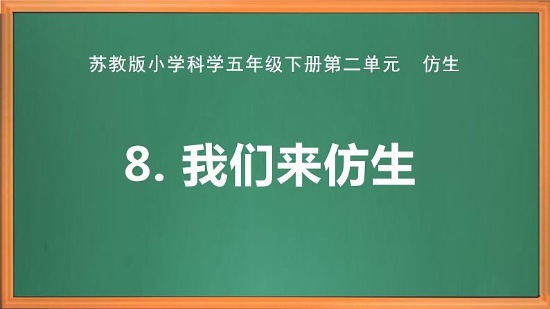 苏教版小学科学五年级下册《8.我们来仿生》课件+教案+视频+作业（全套）02