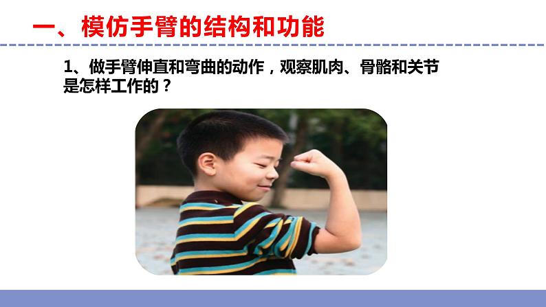 苏教版小学科学五年级下册《8.我们来仿生》课件+教案+视频+作业（全套）04