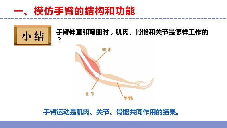 苏教版小学科学五年级下册《8.我们来仿生》课件+教案+视频+作业（全套）06