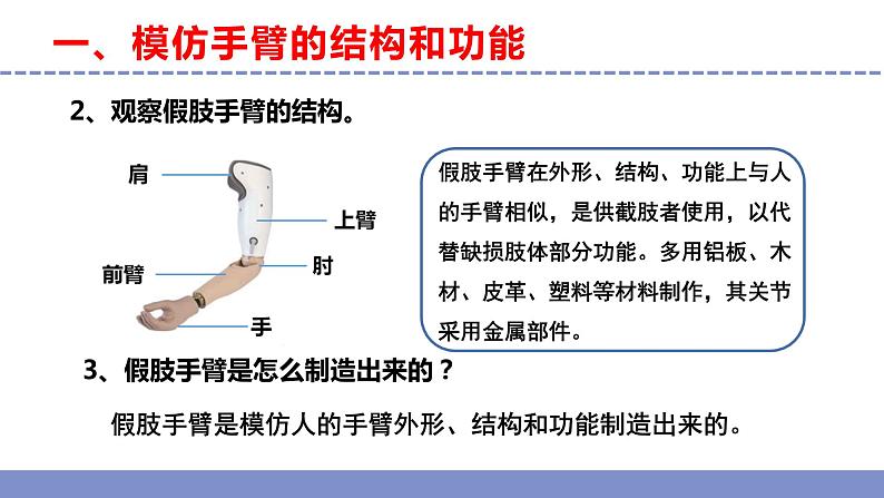 苏教版小学科学五年级下册《8.我们来仿生》课件+教案+视频+作业（全套）07