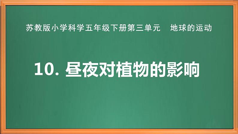 苏教版小学科学五年级下册《10.昼夜对植物的影响》课件+教案+视频+作业（全套）02