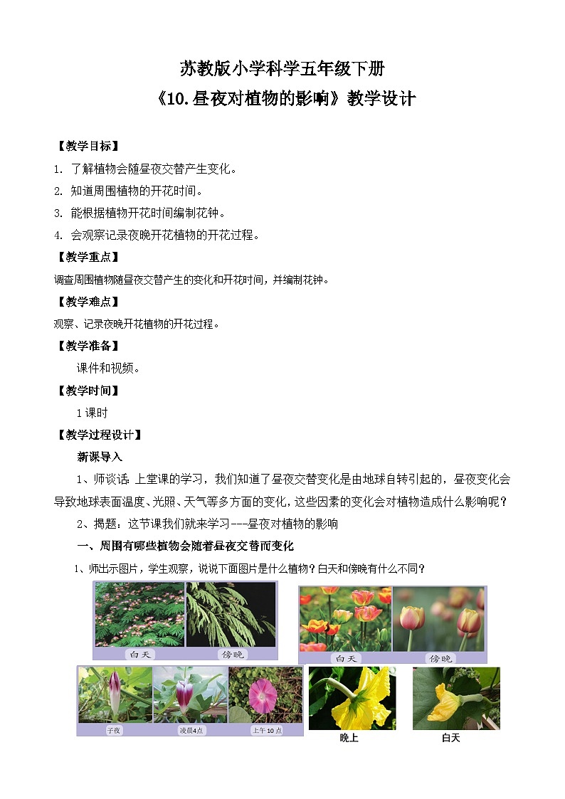 苏教版小学科学五年级下册《10.昼夜对植物的影响》课件+教案+视频+作业（全套）01