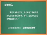 苏教版小学科学五年级下册《11.昼夜对动物的影响》课件+教案+视频+作业（全套）