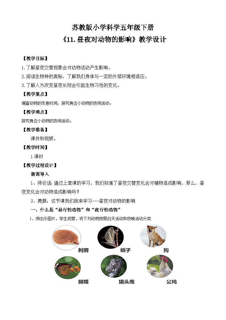 苏教版小学科学五年级下册《11.昼夜对动物的影响》课件+教案+视频+作业（全套）01