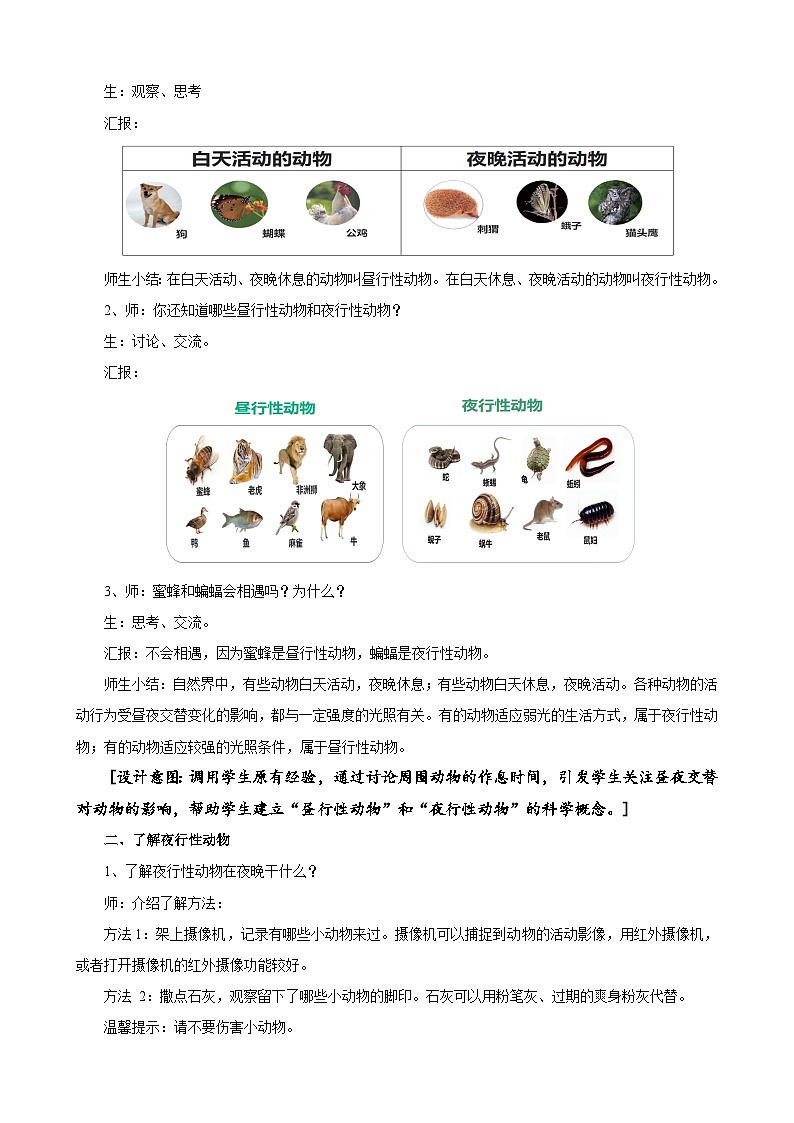 苏教版小学科学五年级下册《11.昼夜对动物的影响》课件+教案+视频+作业（全套）02