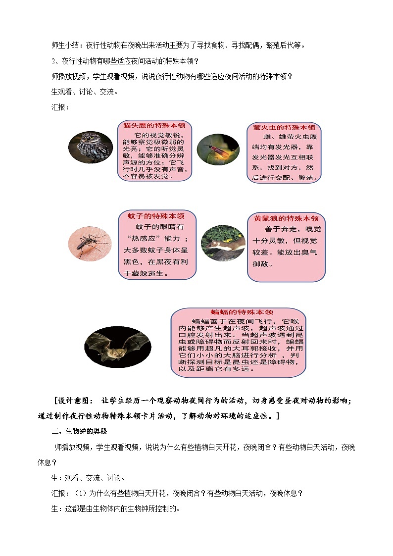 苏教版小学科学五年级下册《11.昼夜对动物的影响》课件+教案+视频+作业（全套）03