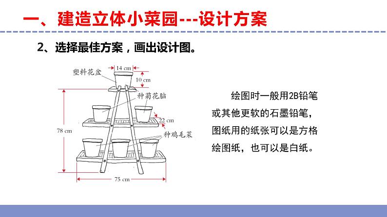 苏教版小学科学五年级下册《STEM学习 立体小菜园》（第二课时）课件+教案+视频+作业（全套）08