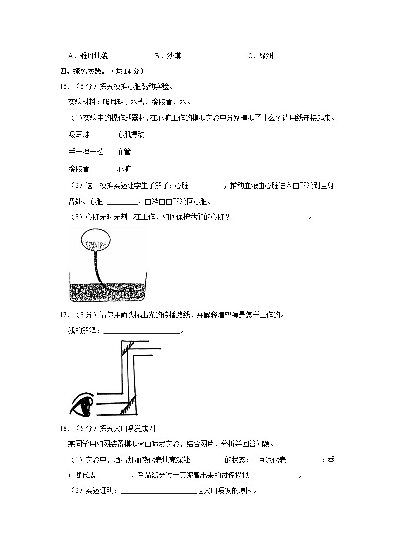 吉林省四平市伊通县2021-2022学年五年级上学期期末科学试卷02