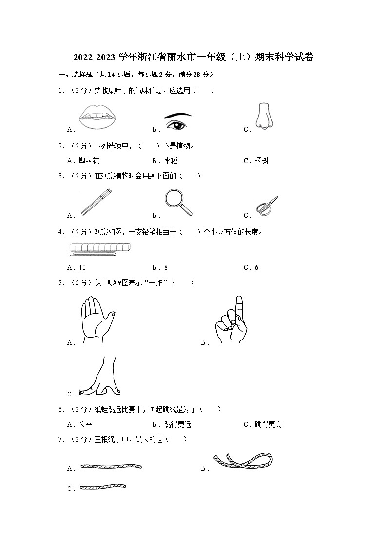 浙江省丽水市2022-2023学年一年级上学期期末科学试卷01