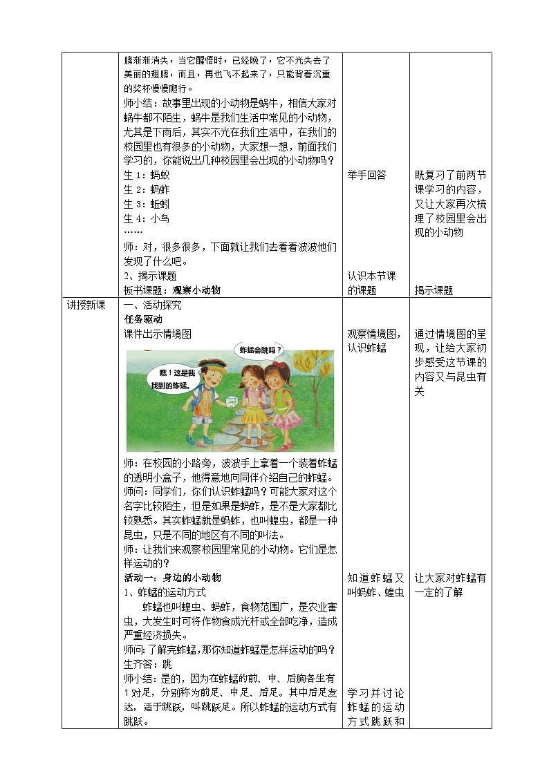【核心素养目标】4.13《观察小动物》教案第2页