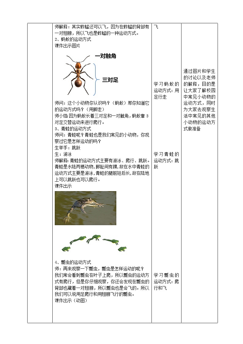 【核心素养目标】4.13《观察小动物》教案第3页