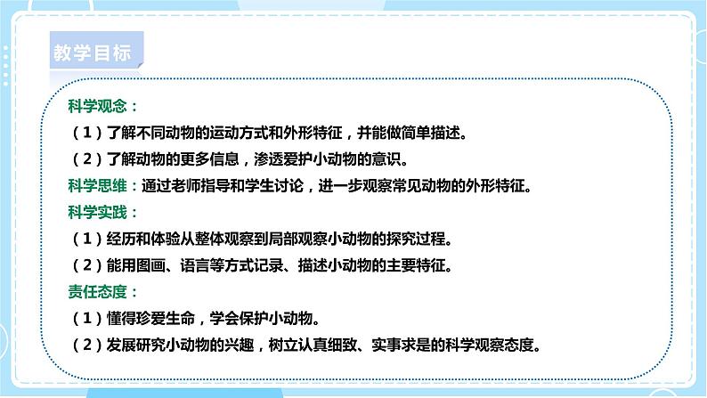 【新课标】4.13《观察小动物》课件第2页