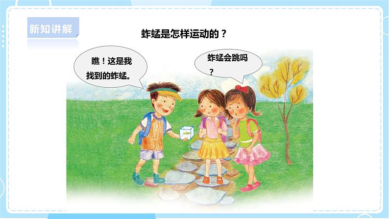 【新课标】4.13《观察小动物》课件第5页