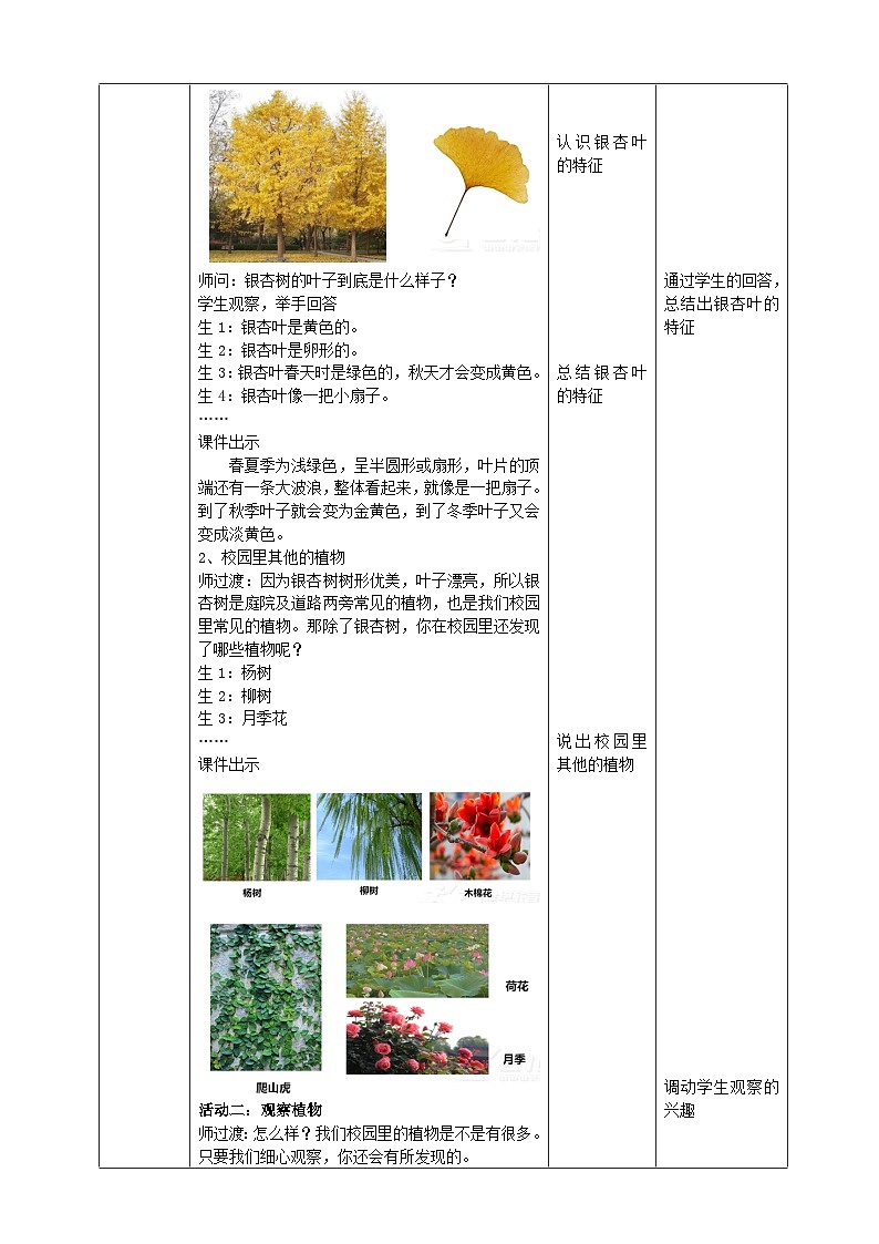 【核心素养目标】4.14《校园里的植物》教案第3页